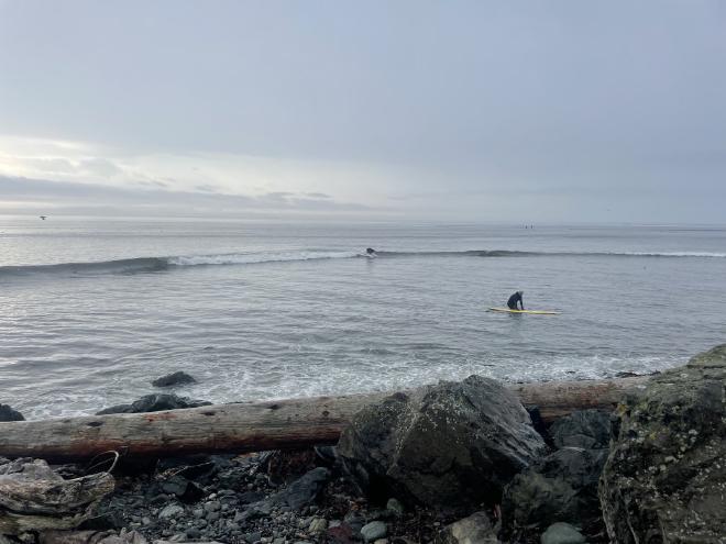 Surfers on a wave